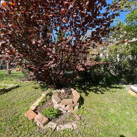 Small House With A Garden In The Heart Of Slavkov
